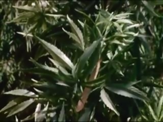 Aphrodisiac The Sexual Secret Of Marijuana (1971)