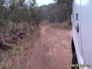 real african safari sex trip